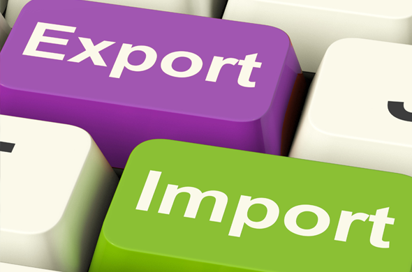 Importer Exporter Code (IE CODE)